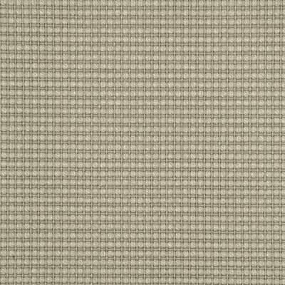 Threads AVANI SILVER BIRCH Fabric