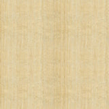 Lee Jofa MANTUA SHEER BARLEY Drapery Fabric