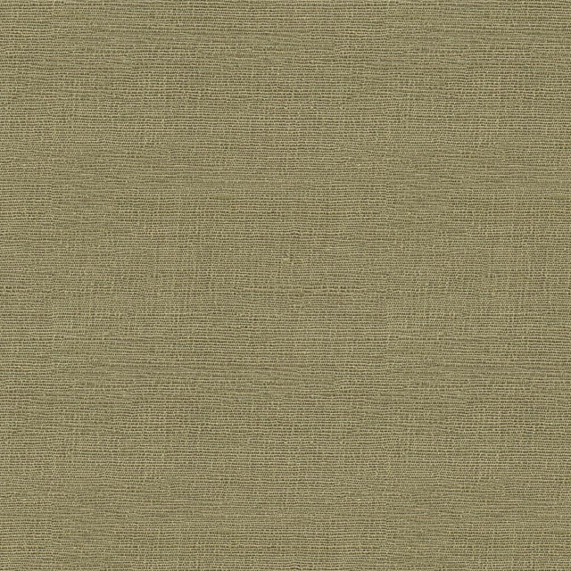 Lee Jofa MYLENE SILK CELERY Upholstery Fabric