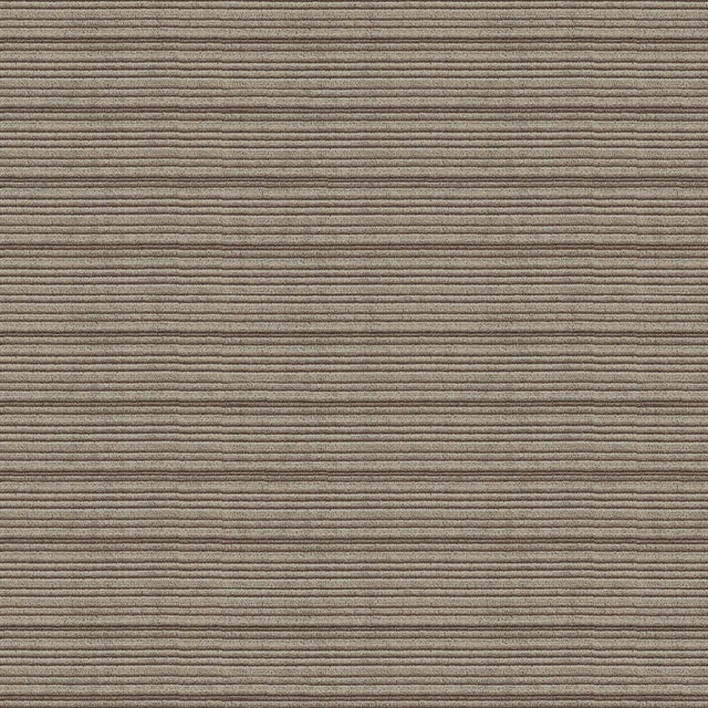 Lee Jofa THOMAS VELVET GREY Upholstery Fabric
