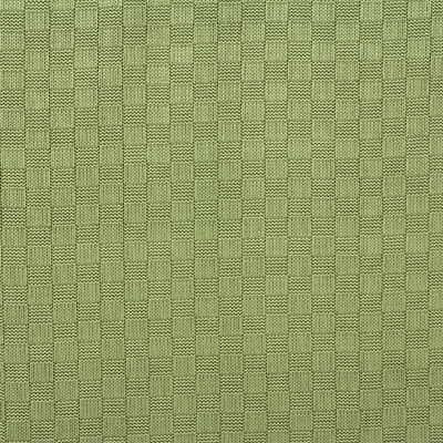 G P & J Baker ORKNEY BIRCH Fabric