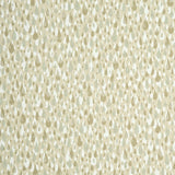 Baker Lifestyle APRIL SHOWERS BISCUIT/SILVER Wallpaper