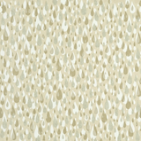 Baker Lifestyle APRIL SHOWERS BISCUIT/SILVER Wallpaper