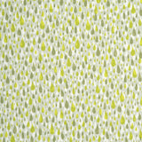 Baker Lifestyle APRIL SHOWERS SPRING/LIME Wallpaper