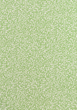 Kravet SCRIBBLE PICNIC GREEN Wallpaper