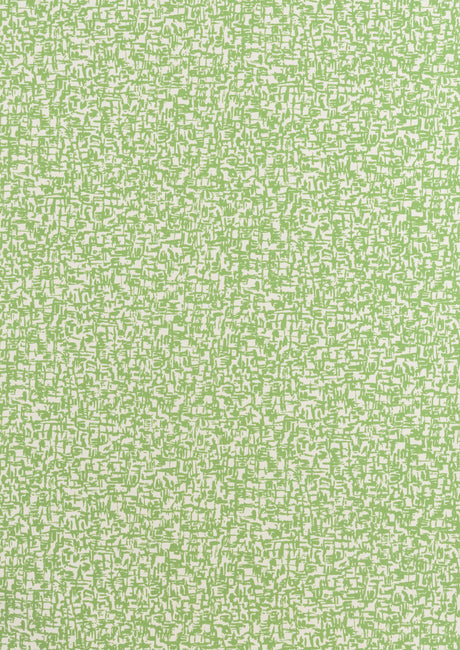 Kravet SCRIBBLE PICNIC GREEN Wallpaper