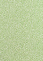 Kravet SCRIBBLE PICNIC GREEN Wallpaper