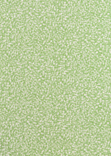 Kravet SCRIBBLE PICNIC GREEN Wallpaper