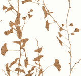 Ronald Redding Designs Ginkgo Silhouette Light Brown Wallpaper