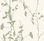 Ronald Redding Designs Ginkgo Silhouette Sage Wallpaper
