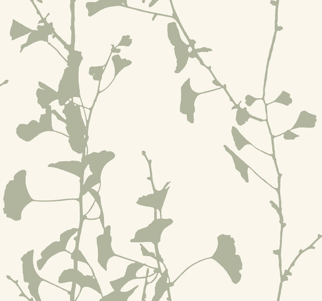 Ronald Redding Designs Ginkgo Silhouette Sage Wallpaper