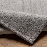 Livabliss Cloudy Shag CDG-2303 3'11" x 5'7" Machine Woven Rug