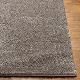 Livabliss Cloudy Shag CDG-2304 3'11" x 5'7" Machine Woven Rug