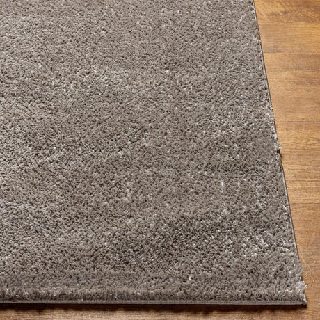 Livabliss Cloudy Shag CDG-2304 3'11" x 5'7" Machine Woven Rug