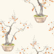 Cole & Son KAKI PERSIMMON BERGAMOT Wallpaper