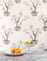 Cole & Son KAKI PERSIMMON BERGAMOT Wallpaper