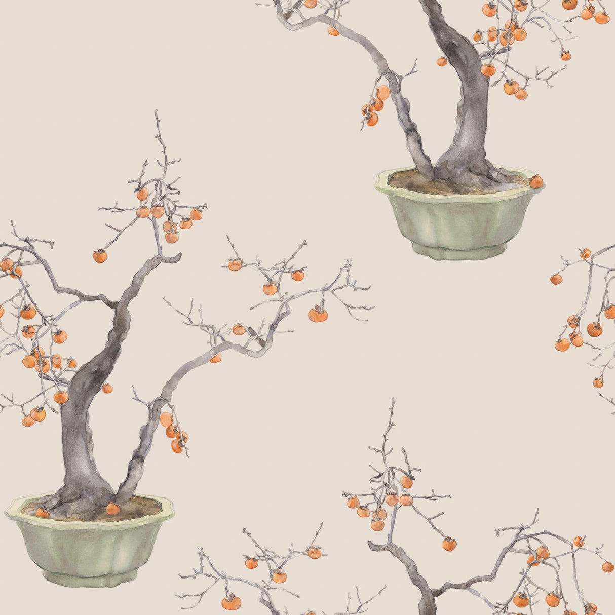 Cole & Son KAKI PERSIMMON VIOLET Wallpaper