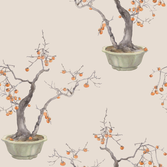 Cole & Son KAKI PERSIMMON VIOLET Wallpaper