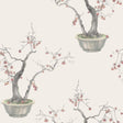 Cole & Son KAKI PERSIMMON SILVER Wallpaper