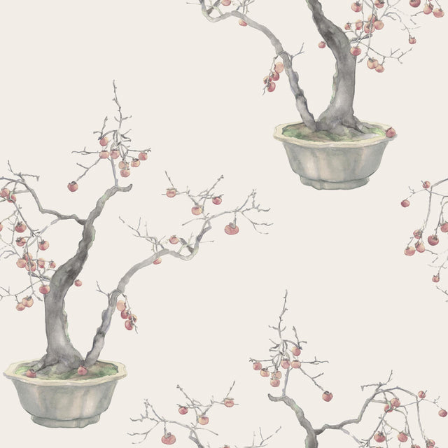 Cole & Son KAKI PERSIMMON SILVER Wallpaper
