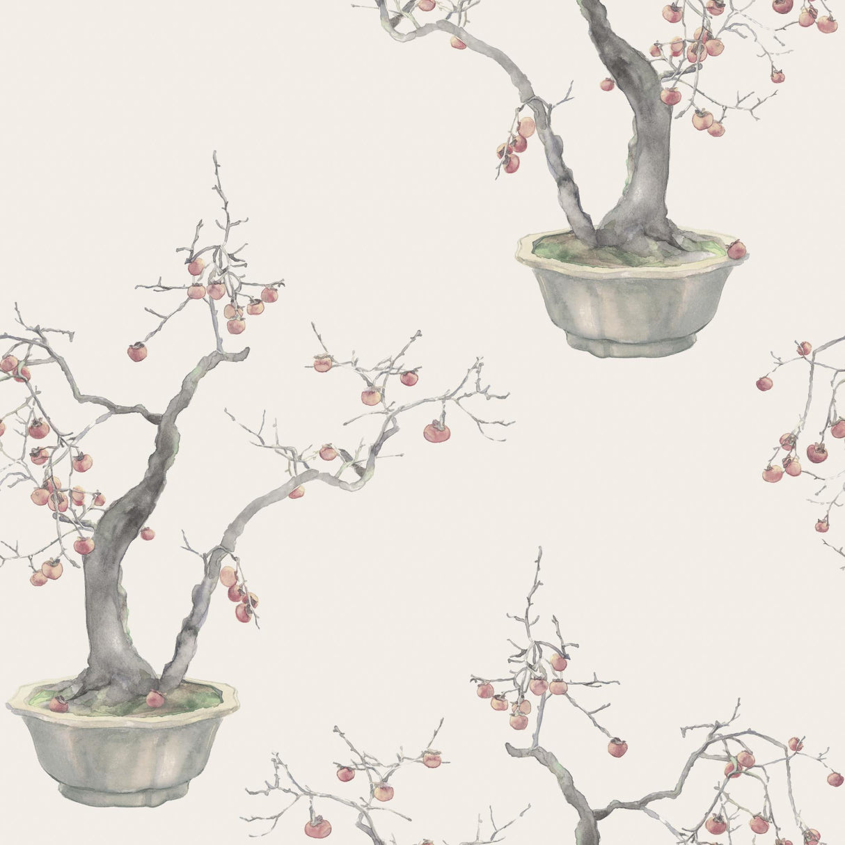 Cole & Son KAKI PERSIMMON SILVER Wallpaper