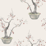 Cole & Son KAKI PERSIMMON SILVER Wallpaper
