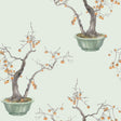 Cole & Son KAKI PERSIMMON JADE GREEN Wallpaper