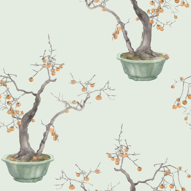 Cole & Son KAKI PERSIMMON JADE GREEN Wallpaper