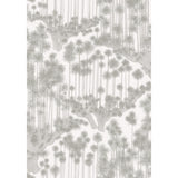 Cole & Son JAPANESE WOODS ASH Wallpaper