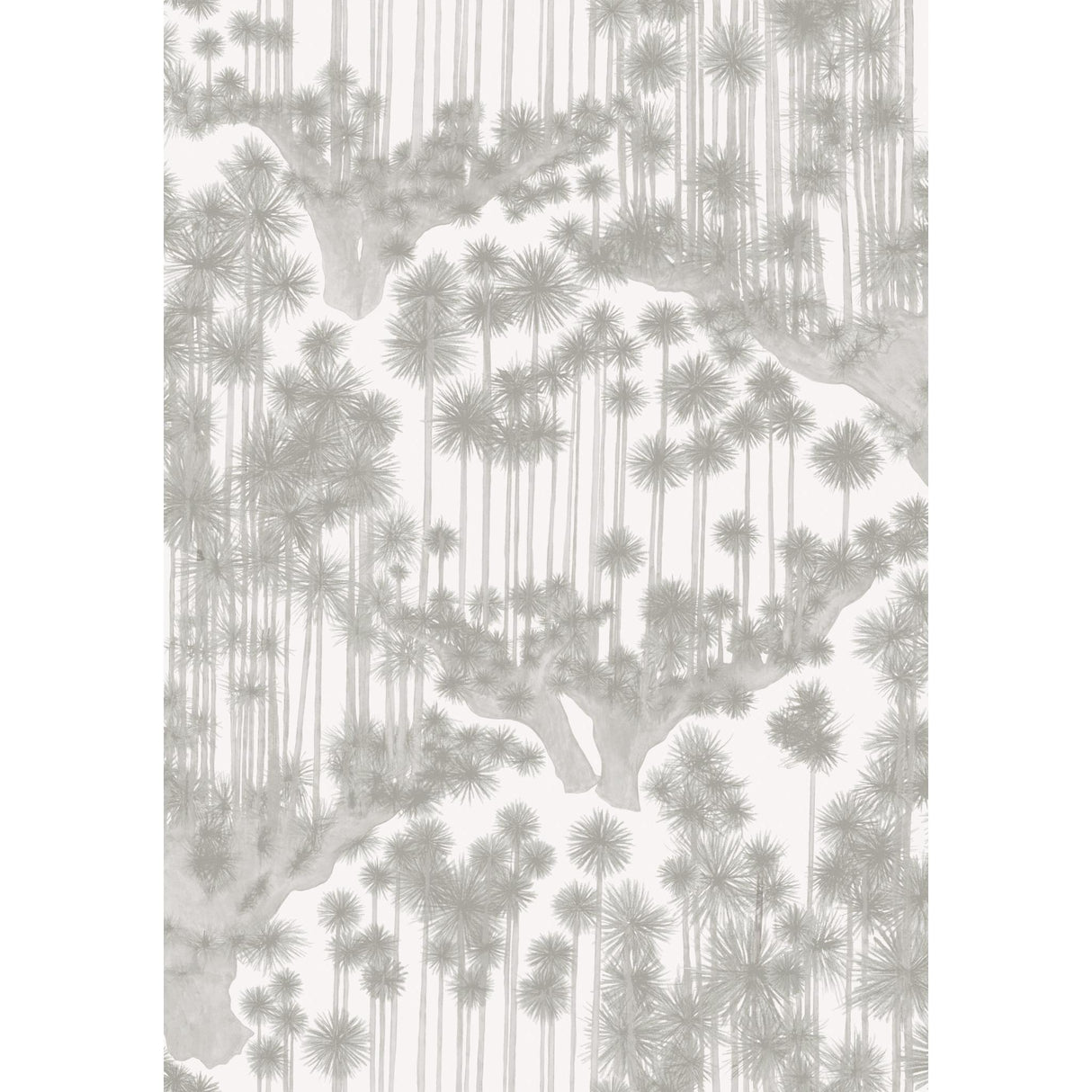 Cole & Son JAPANESE WOODS ASH Wallpaper