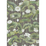 Cole & Son LILY LOTUS WHITE/CHARCOAL Wallpaper