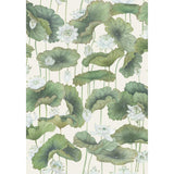Cole & Son LILY LOTUS WHITE/CREAM Wallpaper