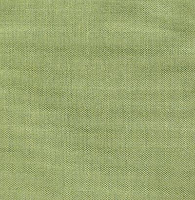 Pindler BALBOA SPROUT Fabric