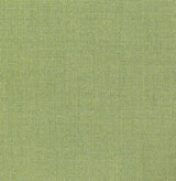 Pindler BALBOA SPROUT Fabric