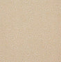 Pindler MARISSA WHEAT Fabric