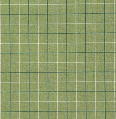 Pindler ZUMA SPROUT Fabric