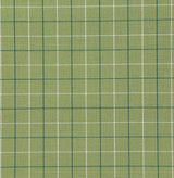 Pindler ZUMA SPROUT Fabric