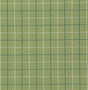 Pindler ZUMA SPROUT Fabric