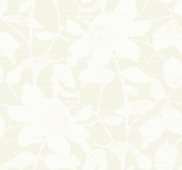 Antonina Vella Solange Dove Botanical Wallpaper