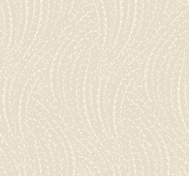 Antonina Vella Willow Song Wheat Botanical Wallpaper