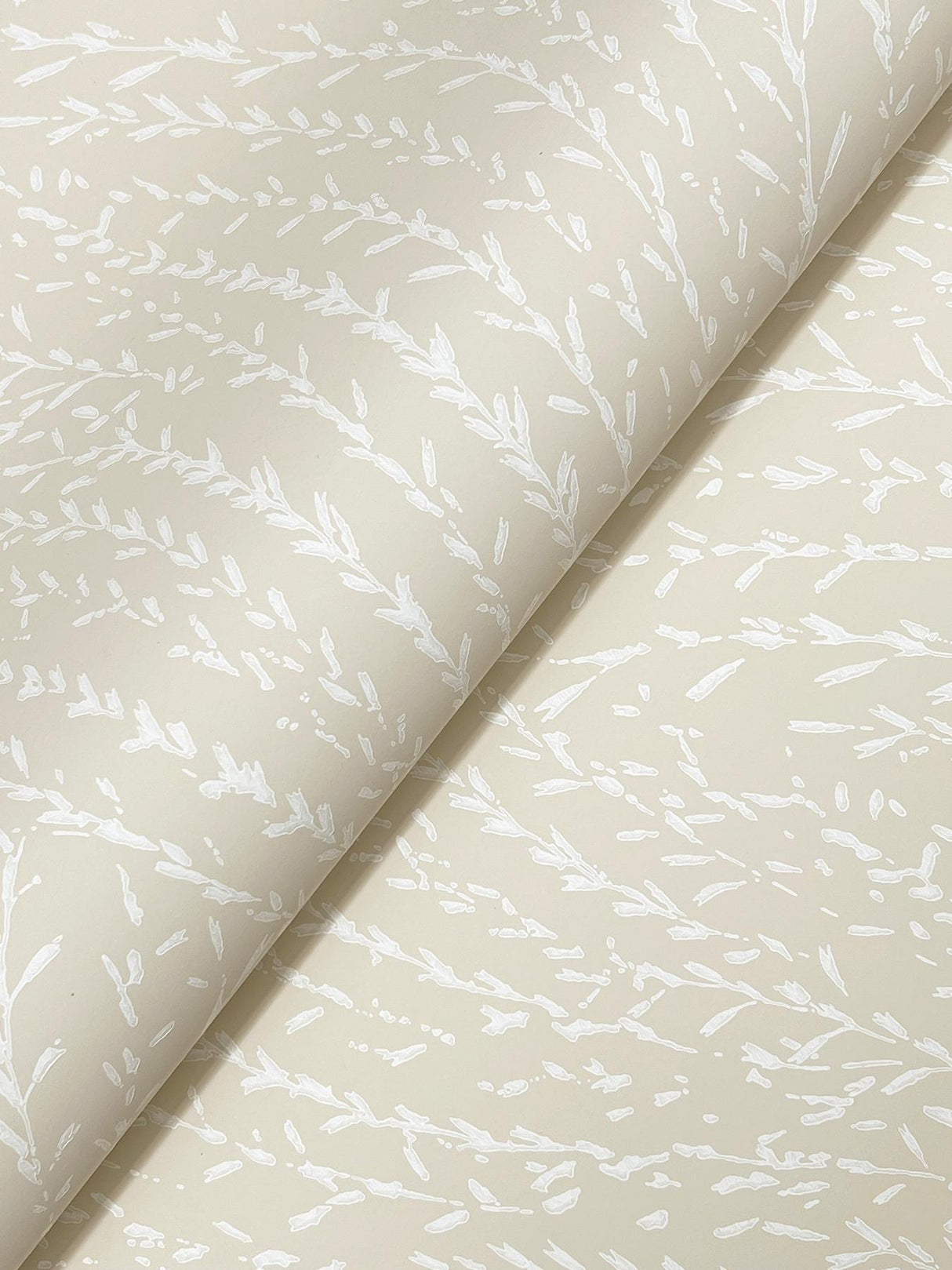 Antonina Vella Willow Song Wheat Botanical Wallpaper