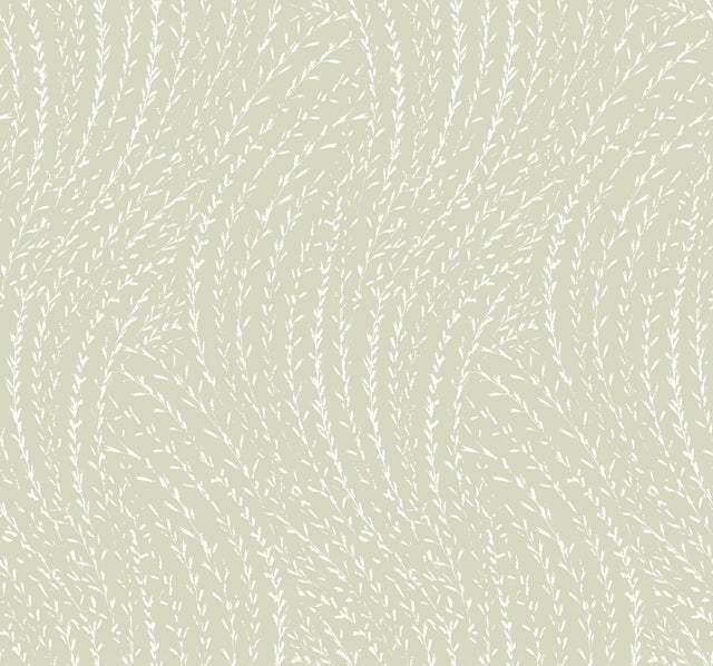 Antonina Vella Willow Song Sage Botanical Wallpaper
