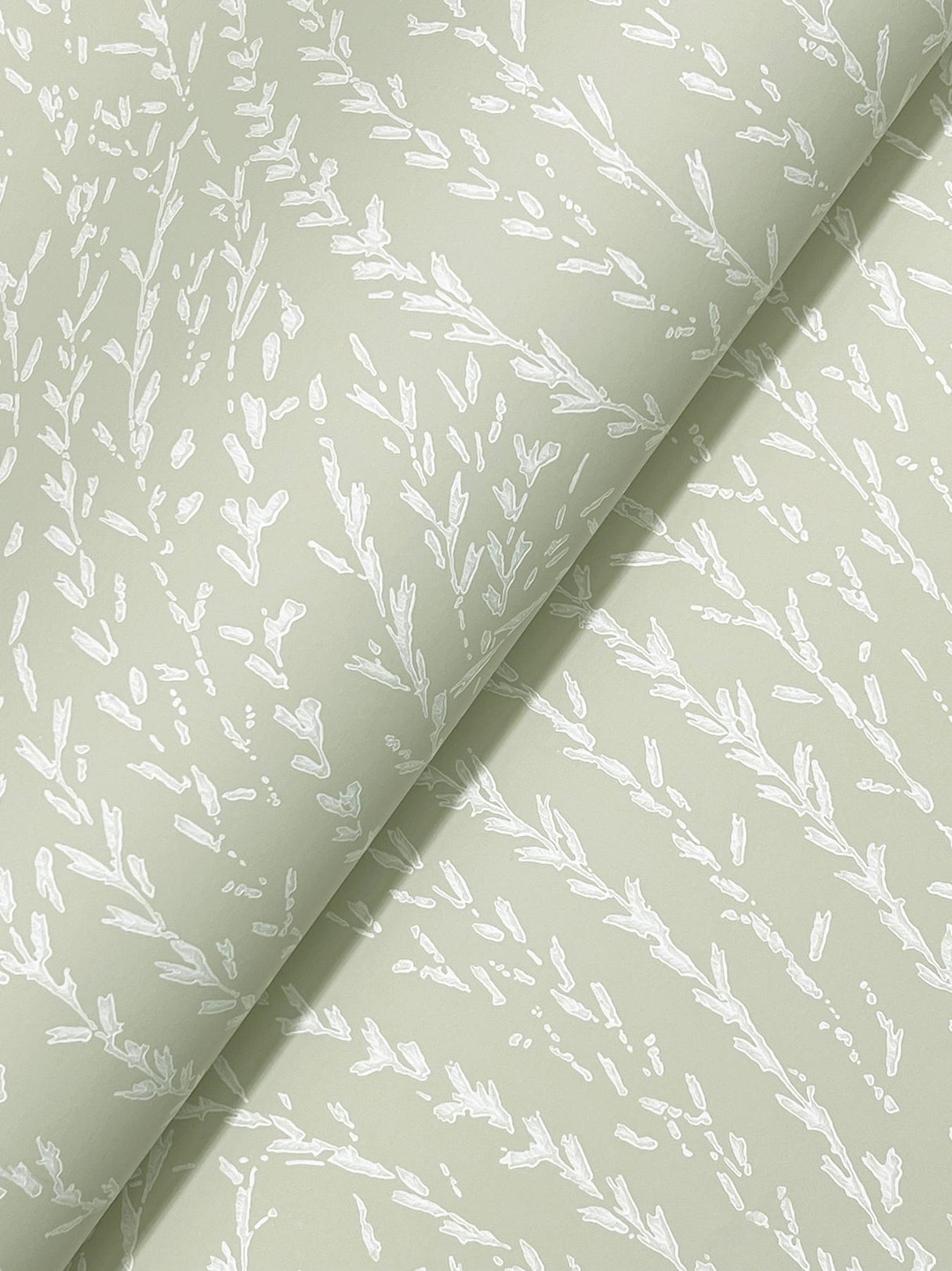 Antonina Vella Willow Song Sage Botanical Wallpaper