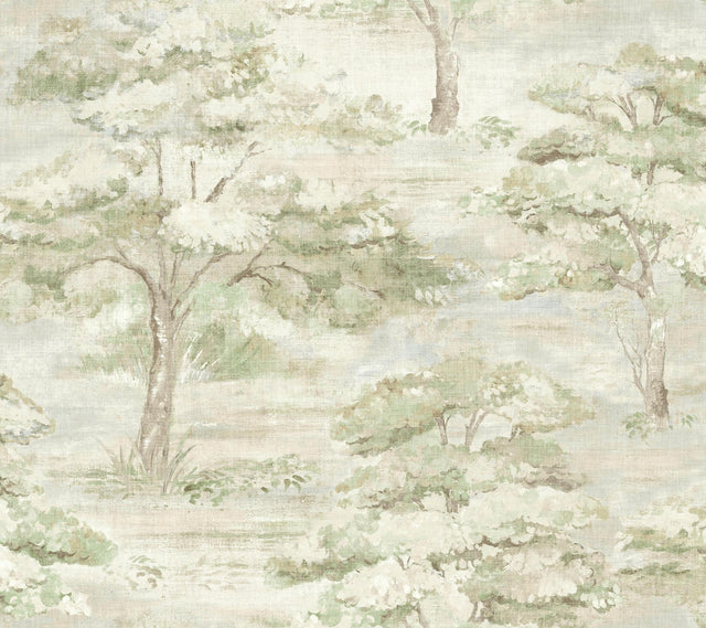 Antonina Vella Moreno Green Woodland Wallpaper