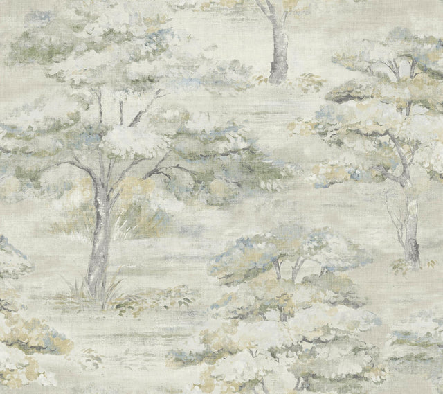 Antonina Vella Moreno Slate Woodland Wallpaper