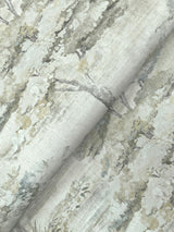 Antonina Vella Moreno Slate Woodland Wallpaper