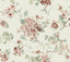 Antonina Vella Veiled Garden Rose Floral Wallpaper