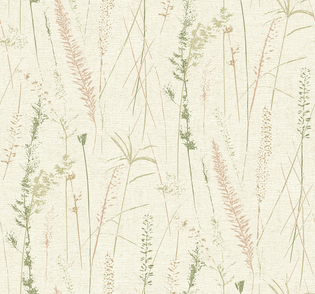 Antonina Vella Meadow Splendor Salmon Botanical Wallpaper