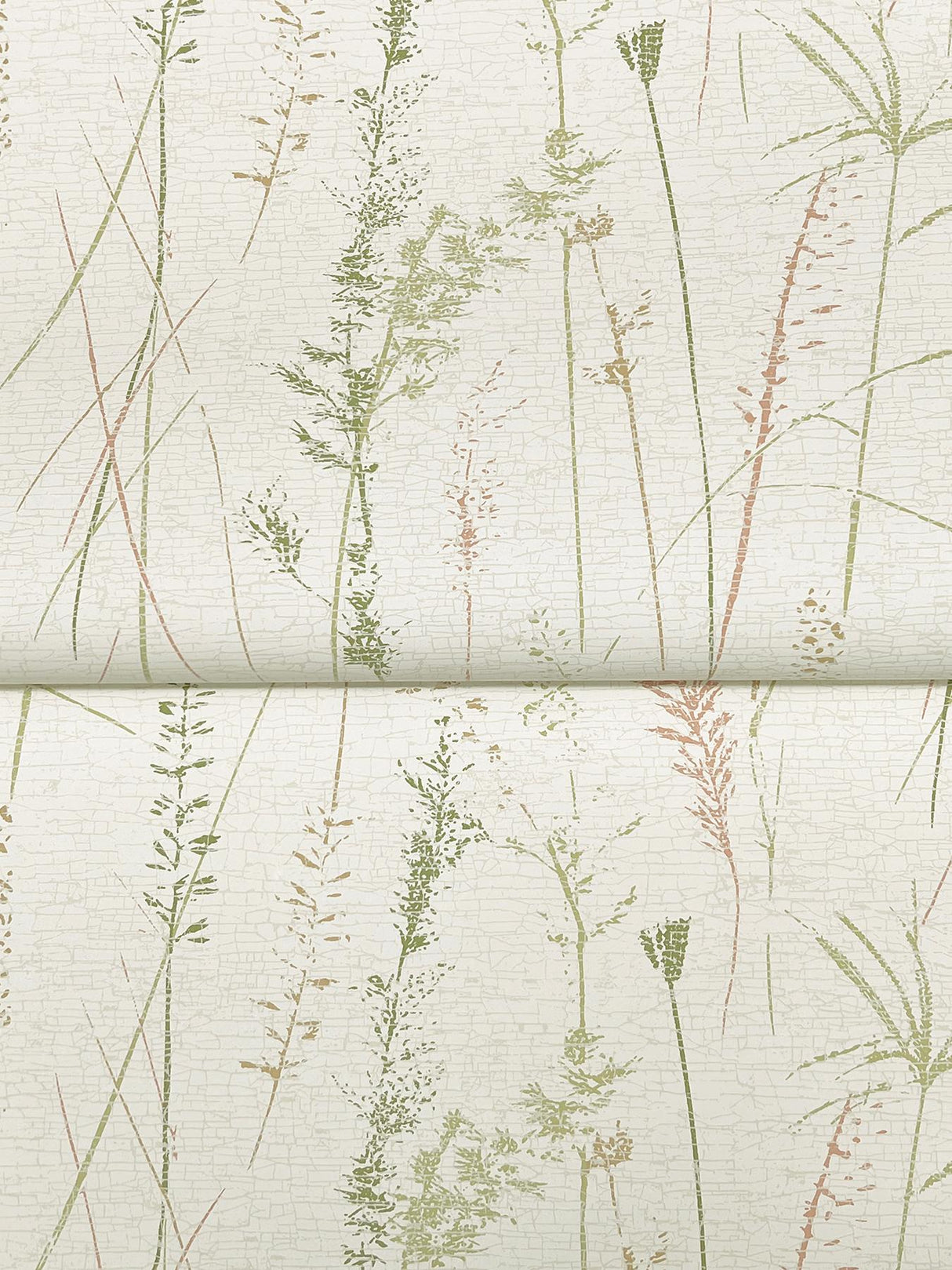 Antonina Vella Meadow Splendor Salmon Botanical Wallpaper