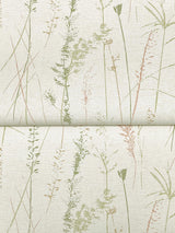 Antonina Vella Meadow Splendor Salmon Botanical Wallpaper